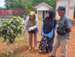 Kolaborasi Wujudkan Ekonomi Hijau di Lebak, HIPKA Lebak Ajak Stakeholder Kembangkan Pohon Nangka Gori