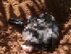 Polisi Berhasil Mengungkap Kasus Bayi Dalam Pelastik di Kebun Singkong