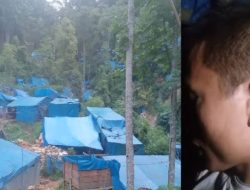 Bos Tambang Emas Tidak Hiraukan Larangan Bupati dan APH