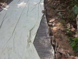 Proyek Jalan Usaha Tani di Kampung Maja Diduga Tidak Transparan, Warga dan Media tak Diberi Informasi