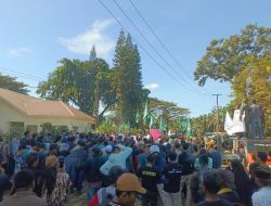 Ingkar Janji, Apkasindo Kembali Gelar Aksi Demo di PTPN Kerta Jaya