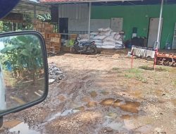 Pupuk Subsidi Ditemukan di Perusahaan Perkebunan Pisang, Diduga Dijual Oleh Agen Distributor Setempat