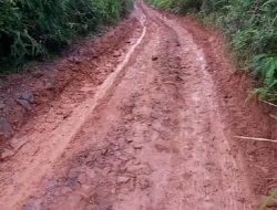 Jalan Poros Desa Dua Kecamatan Tiga Desa Belasan Tahun Tak Tersentuh Pembangunan, Putaran Perekonomian Warga Nyaris Lumpuh