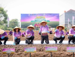 Gubernur Banten Andra Soni: Memperkuat Ketahanan Pangan Diawali Dari Membangun Desa