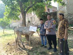Pembelajaran Kurban Bersama Santri Ponpes Al-Bustaniyah Curug Cilegon