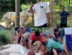 Warga Desa Banjarsari Terima Dua Ekor Sapi dari H.Mulyadi Jayabaya