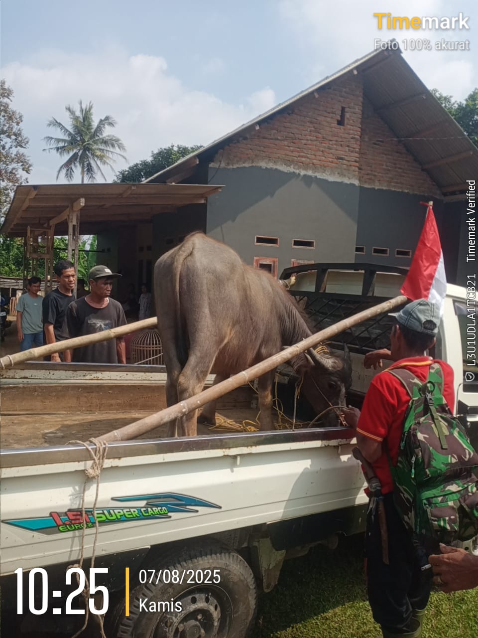 Pemilik Ternak Kerbau dibondol maling di Kp. Catihan, Desa Rangkasbitung Timur, Kecamatan Rangkasbitung, Kabupaten Lebak, pada Kamis (07/08/2025).