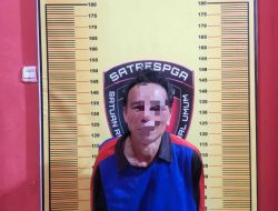 Kurang dari 24 Jam Satreskrim Polres Pagar Alam Ungkap pelaku penjagal kucing Viral Medsos