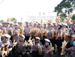Bidpropam Polda Banten Sukses Gelar Panen Jagung, Dukung Program Ketahanan Pangan Nasional