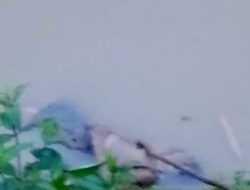 Penemuan Mayat Laki-Laki Tanpa Identitas Gegerkan Warga Cijaku