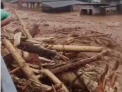 DLHK Sumut Dorong KLHK Lebih Selektif Beri Izin Pengelolaan Hutan Usai Banjir Bandang Tapteng