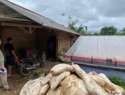 Pengelola Tambang Emas Ilegal di TNGHS Ditahan Polda Banten