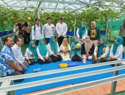 Ibu Bupati Lebak Kunker Dalam Acara Panen Melon di BUMDES Desa Sumurbandung