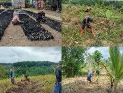 Perhutanan Sosial KTH Mulyasari Desa Cilangkap: Potensi Besar yang Menanti Dukungan Lebih Lanjut