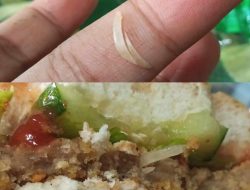 Temukan Potongan Kuku di Menu MBG PAUD Lebak, Koordinator Badak Banten Minta Audit Dapur SPPG