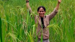 Hutan TNGHS Rusak Parah, Penambangan di Kawasan Taman Nasional Adalah Pelanggaran Hukum Mutlak