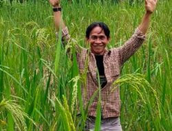 Hutan TNGHS Rusak Parah, Penambangan di Kawasan Taman Nasional Adalah Pelanggaran Hukum Mutlak