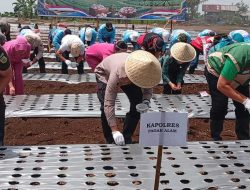 Dukung Program Ketahanan Pangan Nasional Polres -Pemkot Tanam Bawang Putih Serentak