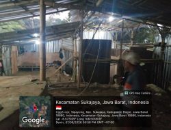 Pengolahan Emas Berbentuk Tong di Desa Sipayung Sukajaya Disorot, Diduga Gunakan Bahan Berbahaya